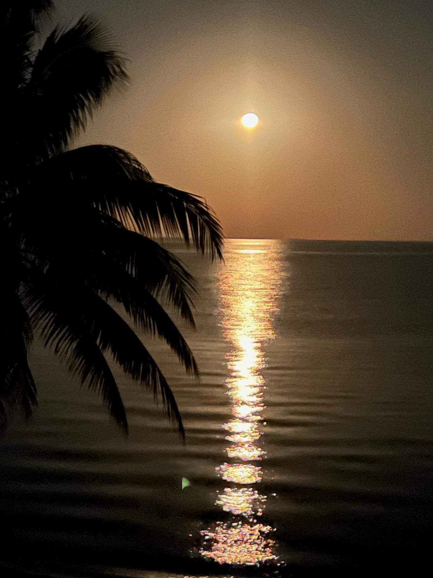 Bella Sway Belize Villa Maya Beach Eksteriør bilde